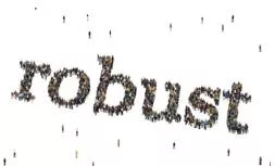 Robust  - Strong; able to survive being used a lot and not likely to break.