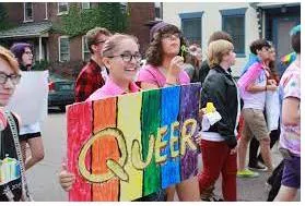 Queer  - Describing or relating to a sexual identity or gender identity that is different from traditional ideas about sex and gender, for example if somebody is non-binary, bisexual or transgender