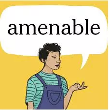 Amenable meaning