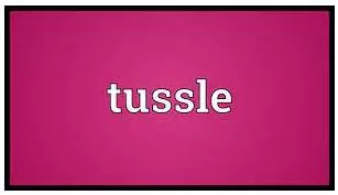Tussle - A short struggle, fight or argument especially in order to get something.