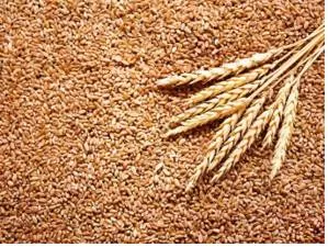 It’s time india lift its ban on wheat exports