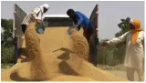 It’s time india lift its ban on wheat exports