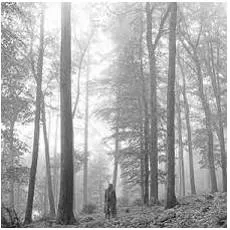 Folklore - Traditional stories and beliefs. /