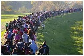 Migration meaning