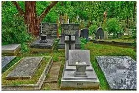 Interred meaning