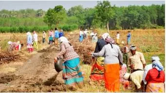 Employment days under mgnregs at a five year low
