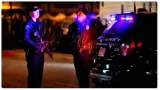 Male shooter flees after killing 10 at chinese new year lunar party in us