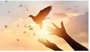 Forgiveness meaning