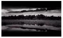 Sombre - Dark or dull in colour or tone.