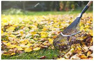 Raked - To gather, loosen, or smooth with or as if with a rake.