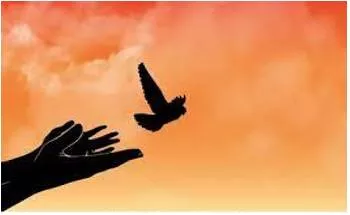 Liberated - Freed from or opposed to traditional social and sexual attitudes or roles.