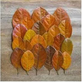 Overlapped meaning