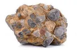Conglomerate - A thing consisting of a number of different and distinct parts or items that are grouped together.