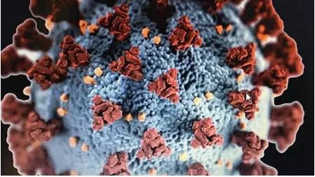 No new covid 19 variants emerged during latest outbreak in china  says study in the lancet