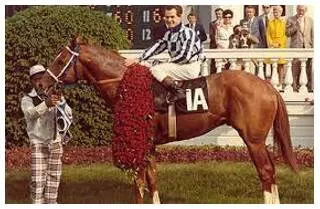 Secretariat - A permanent administrative office or department, especially a governmental one.