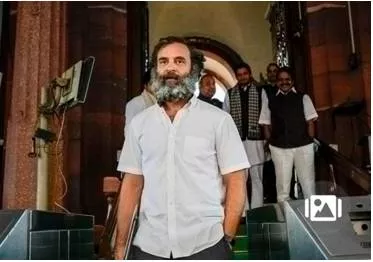 Modi is trying to protect adani  else  he would have ordered probe  rahul