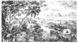 Peek into the past of agasthyarkoodam’s lost observatory