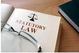 Statutory - Required, permitted, or enacted by statute.
