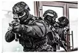 Raids - A rapid surprise attack on an enemy by troops, aircraft, or other armed forces.