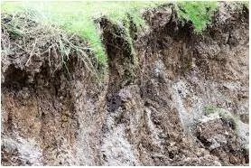 Erode - Gradually destroy or be gradually destroyed.