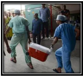 Now  no age bar to register for cadaver organ transplants