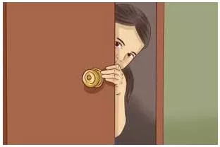 Sneaked - Move or go in a furtive or stealthy way.