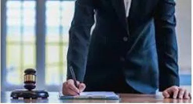 Petitioner meaning