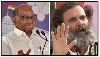 Rahul gandhi was ridiculed but he didn’t stop  sharad pawar’s praise