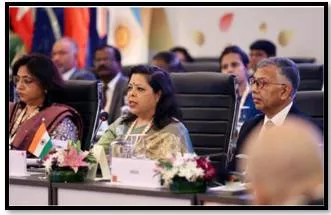 Cop 28 must focus on adaptation instead of mitigation  says environment ministry official