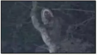 Mexican president obrador posts photo of what he claims is an elf