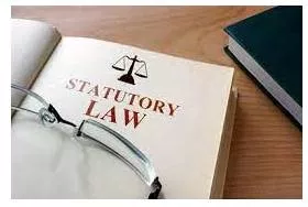 Statutory - Required, permitted, or enacted by statute.