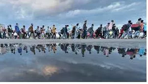 Migrant meaning