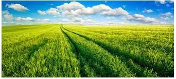 Vast - Of very great extent or quantity.