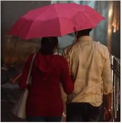 Live in partnership or marriage  lines blur when it comes to domestic violence