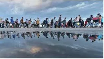 Migrant meaning
