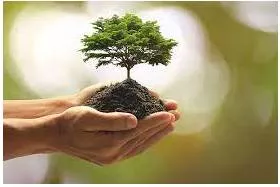 Prosperous meaning