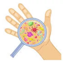 Unhygienic - Not clean or sanitary.