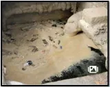 L g flags ‘unhygienic’ conditions at wazirabad wtp  aap hits back