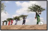 House panel questions huge cut in outlay for mgnregs