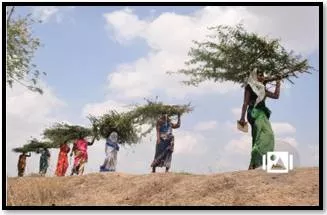House panel questions huge cut in outlay for mgnregs