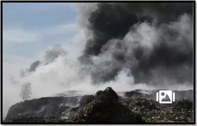Bjp seeks cbi investigation into kochi dumpyard fire