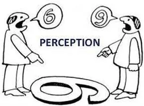 Perception meaning
