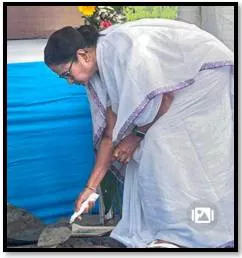 Farming has resumed in 43 5% of acquired land in singur  mamata