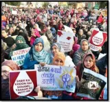 2019 jamia violence  hc overturns discharge of 11  including sharjeel  safoora