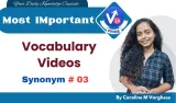 Synonyms 03