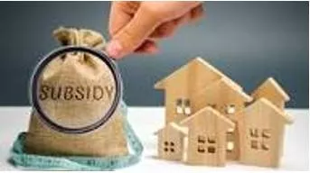Subsidy meaning