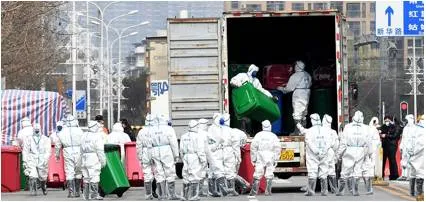 Sars cov 2 virus not found in animal samples from huanan seafood market  says study