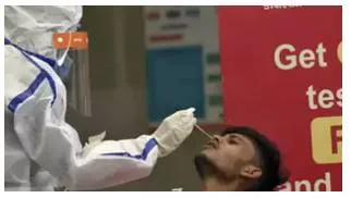 India's rising covid cases  experts say common cold like spread suggests endemicity  urge precaution