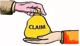 Claims meaning