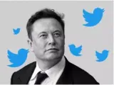 Elon musk  twitter is roughly breaking even  has 1 500 employees
